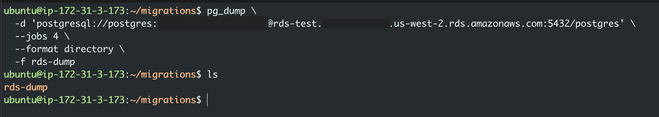 pg_dump Command Execution